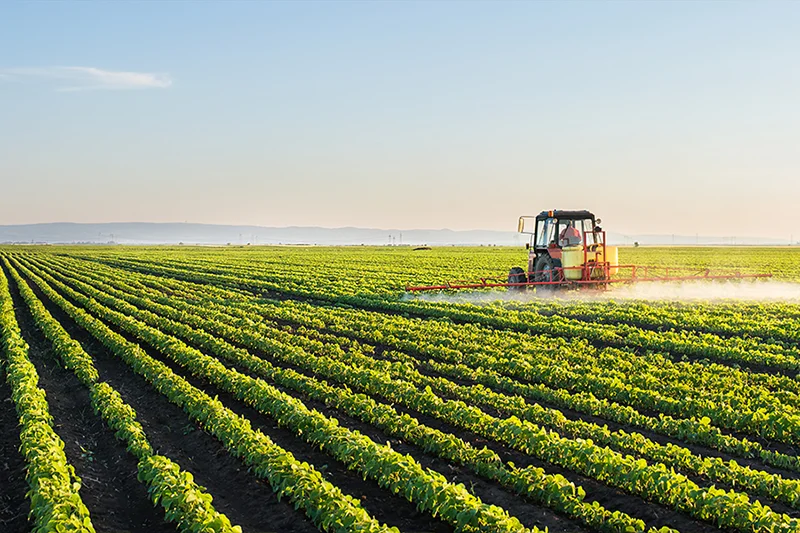 Agriculture Agriculture